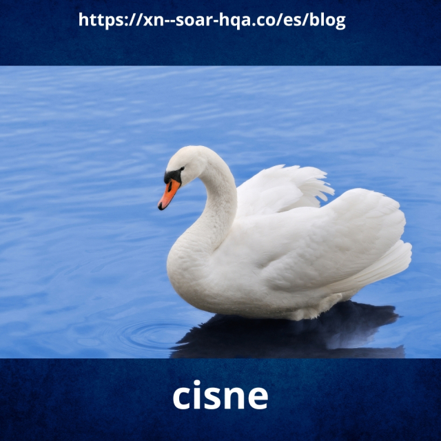 Qué significa soñar con cisnes