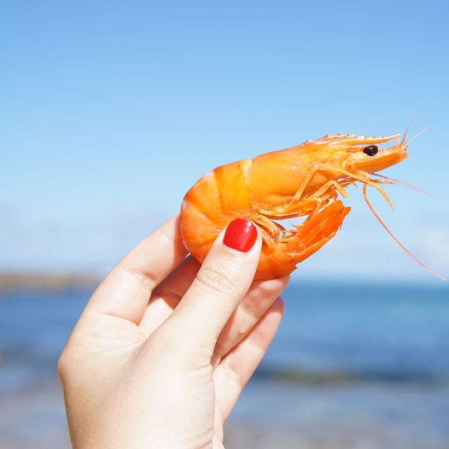 Qué significa soñar con camarones